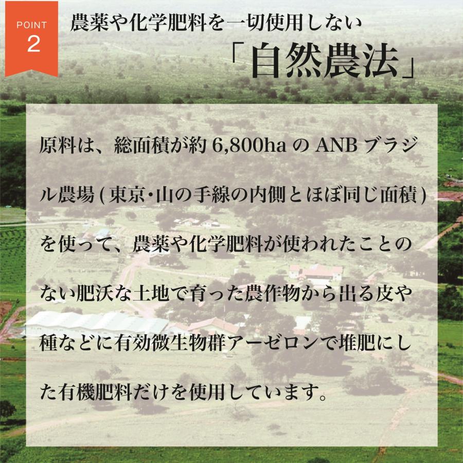 松酵素-Matsu MaNna-30包入り