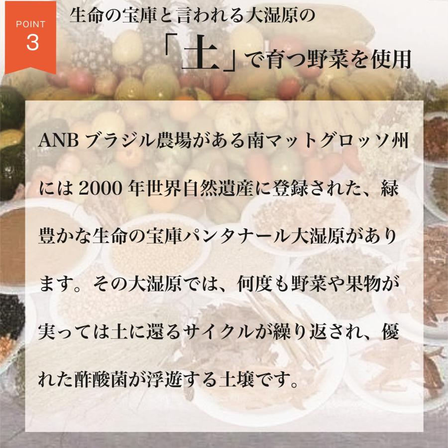 松酵素-Matsu MaNna-30包入り